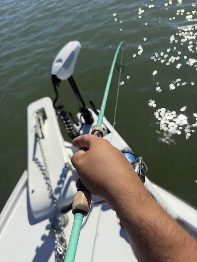 Island Adventure Charters, Galveston trip photo 2